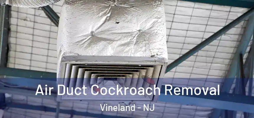 Air Duct Cockroach Removal Vineland - NJ
