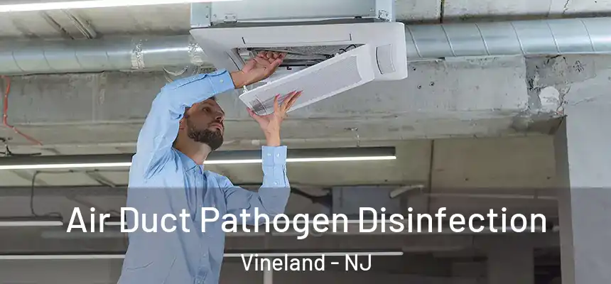  Air Duct Pathogen Disinfection Vineland - NJ