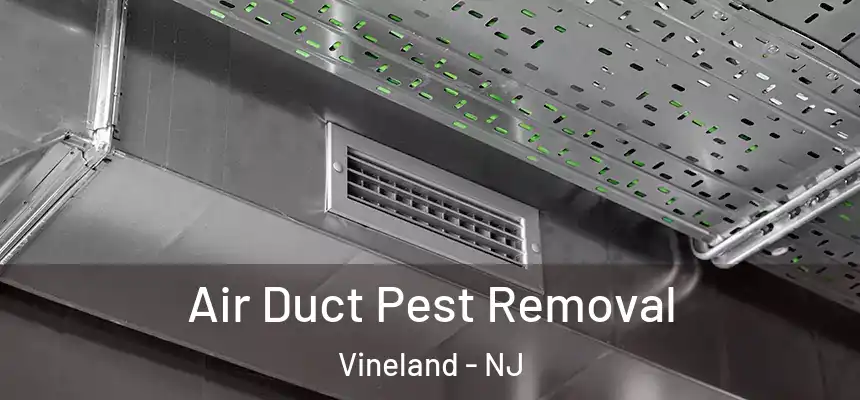  Air Duct Pest Removal Vineland - NJ