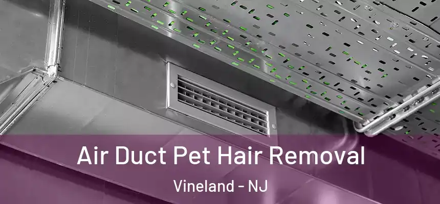  Air Duct Pet Hair Removal Vineland - NJ