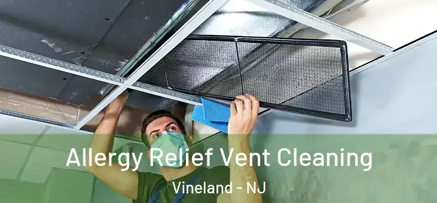  Allergy Relief Vent Cleaning Vineland - NJ