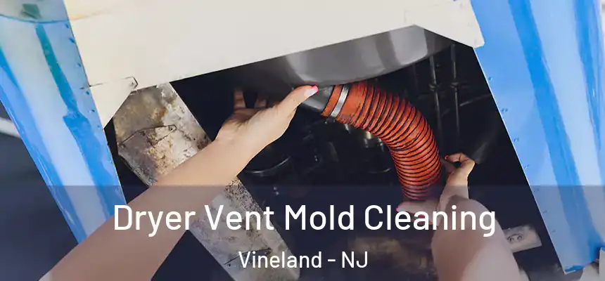 Dryer Vent Mold Cleaning Vineland - NJ