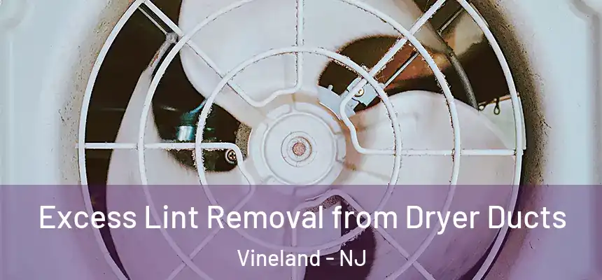 Excess Lint Removal from Dryer Ducts Vineland - NJ