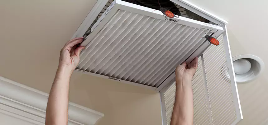 Preventive Cockroach-Proofing for Ducts in Vineland