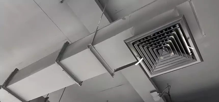 Our Rodent Droppings In Vents Services in Vineland, NJ