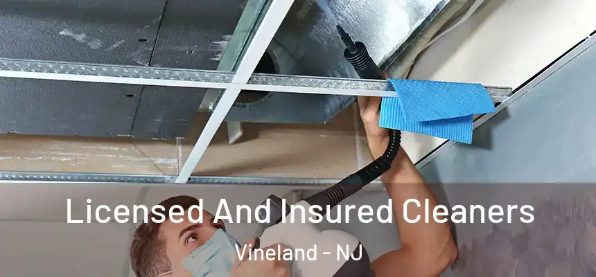 Licensed And Insured Cleaners Vineland - NJ