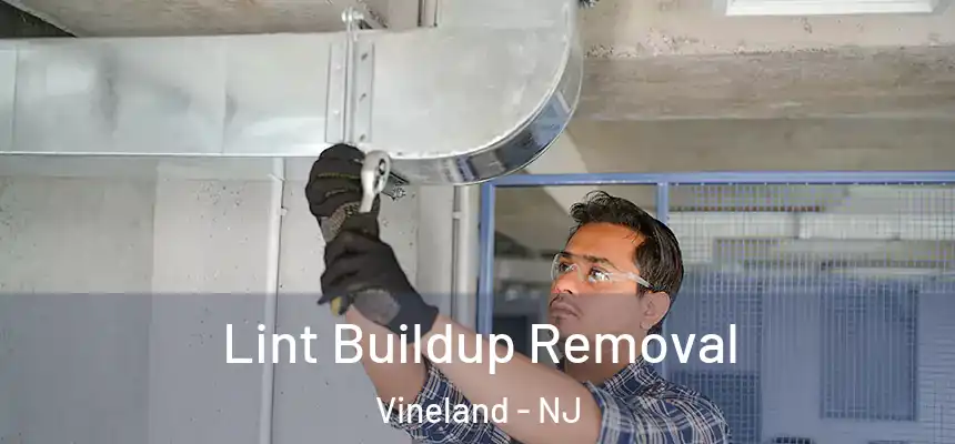 Lint Buildup Removal Vineland - NJ