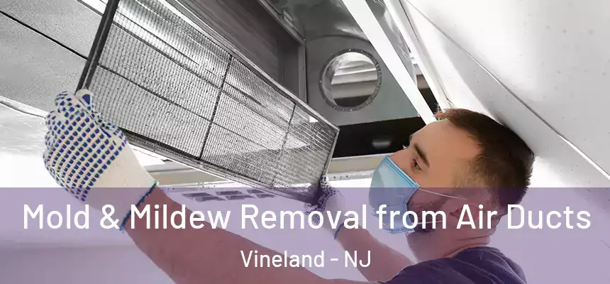  Mold & Mildew Removal from Air Ducts Vineland - NJ