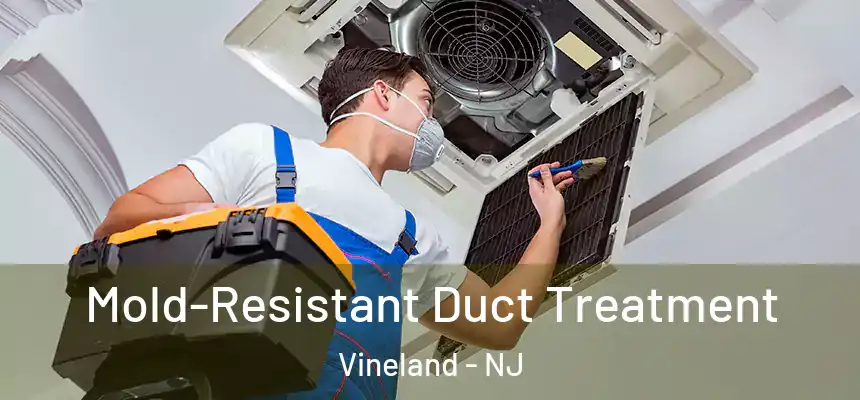  Mold-Resistant Duct Treatment Vineland - NJ