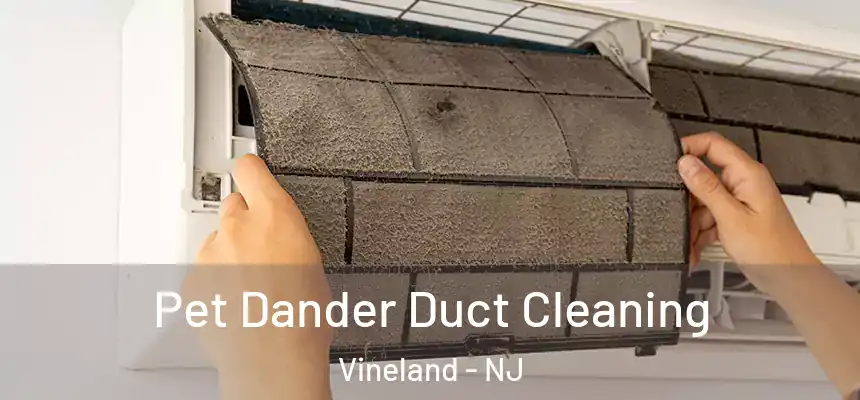  Pet Dander Duct Cleaning Vineland - NJ