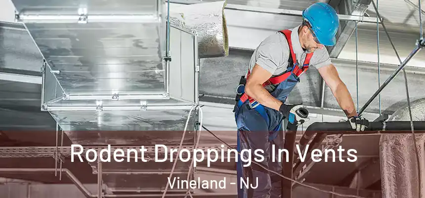Rodent Droppings In Vents Vineland - NJ