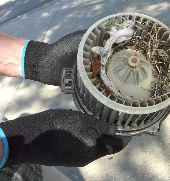 About Air Duct Mice Removal in Vineland, NJ