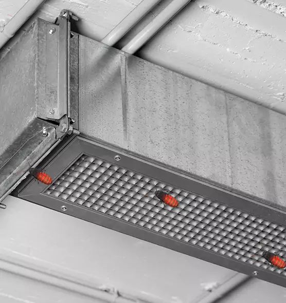 Affordable Insect Removal from Air Ducts in Vineland, NJ