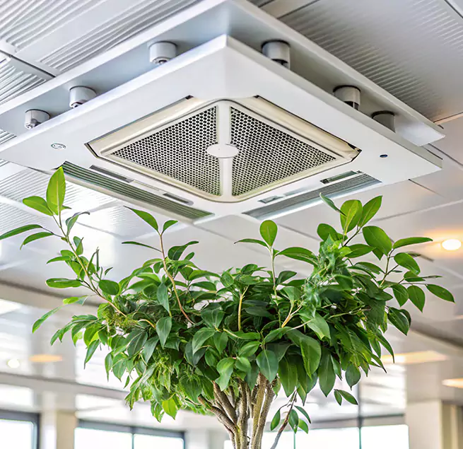 Why Homeowners & Businesses Trust Us in Vineland, NJ?