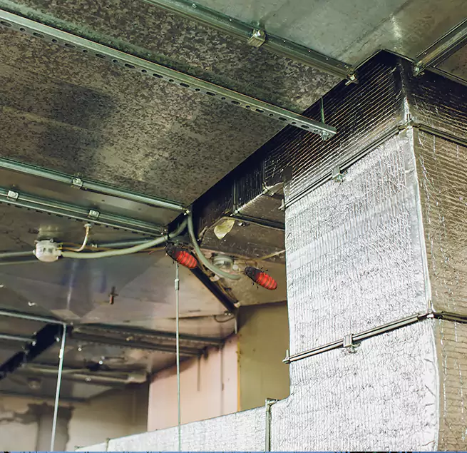 Why Homeowners & Businesses Trust Us Vineland, NJ?