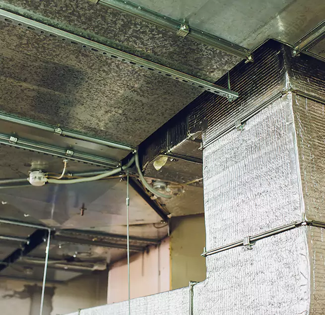 Why Homeowners & Businesses Trust Us in Vineland, NJ?